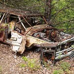 Abandoned Vehicles at 95 Behr Avenue